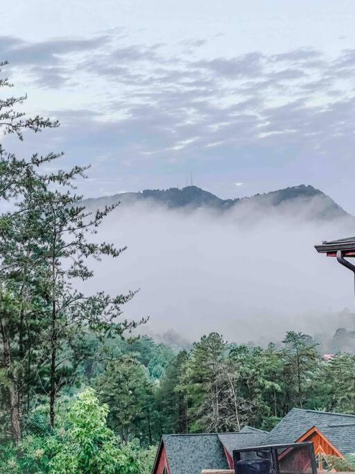 Indoor Heated Pool Hot Tub Cabin 塞维尔维尔 外观 照片